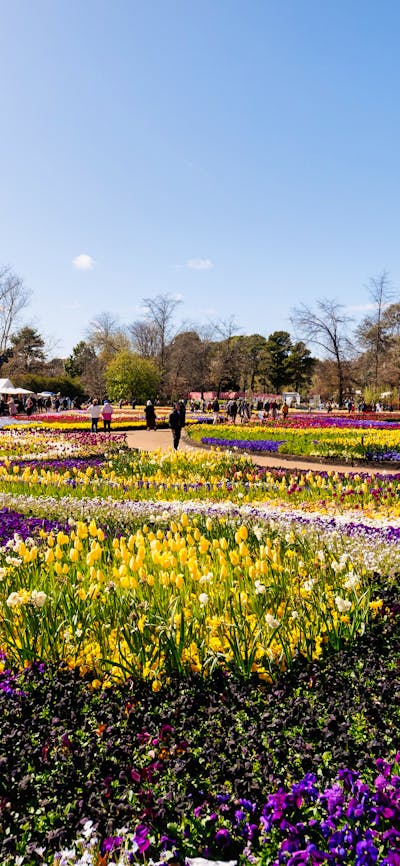 Floriade garden bed