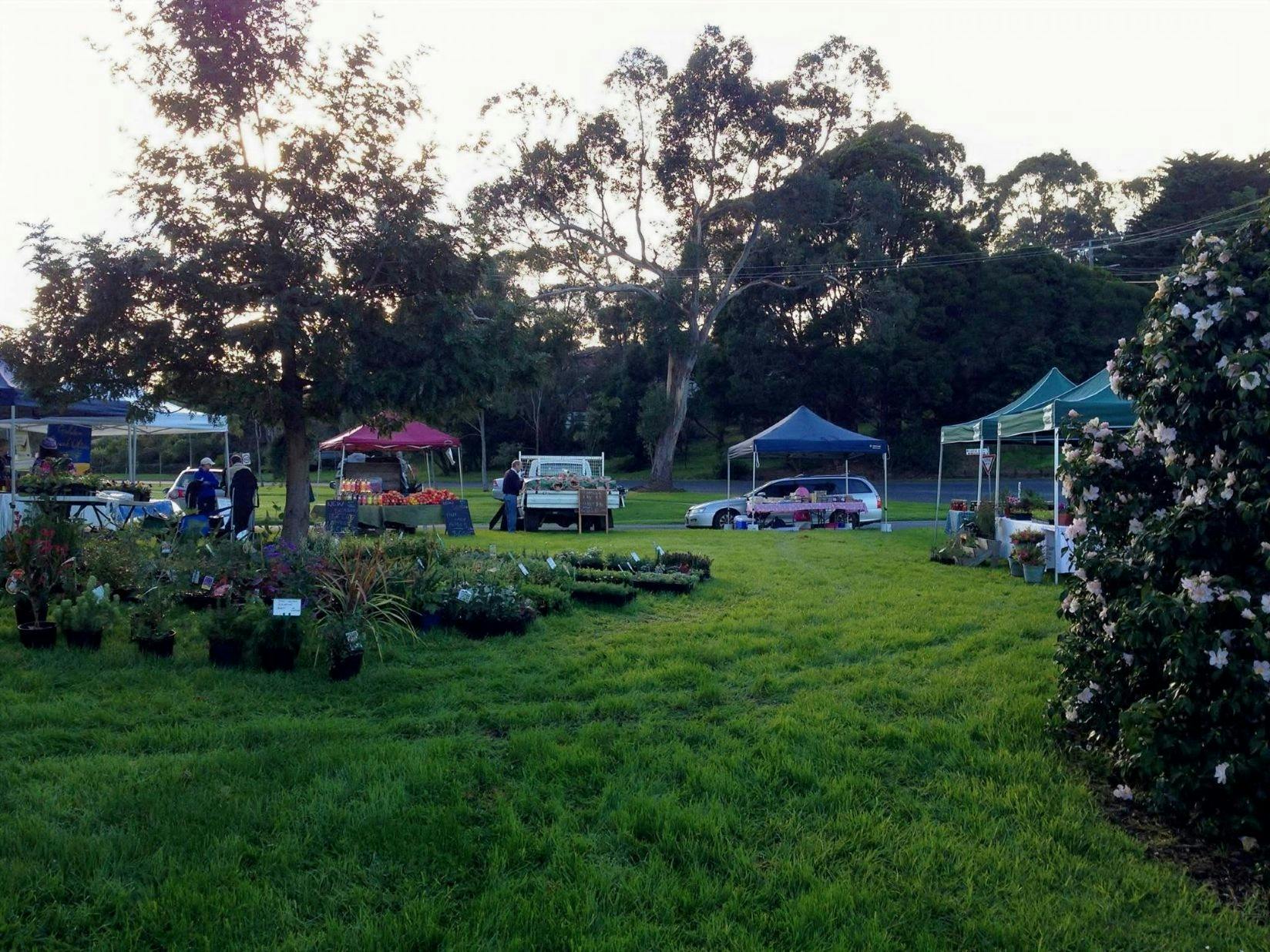Foster Market