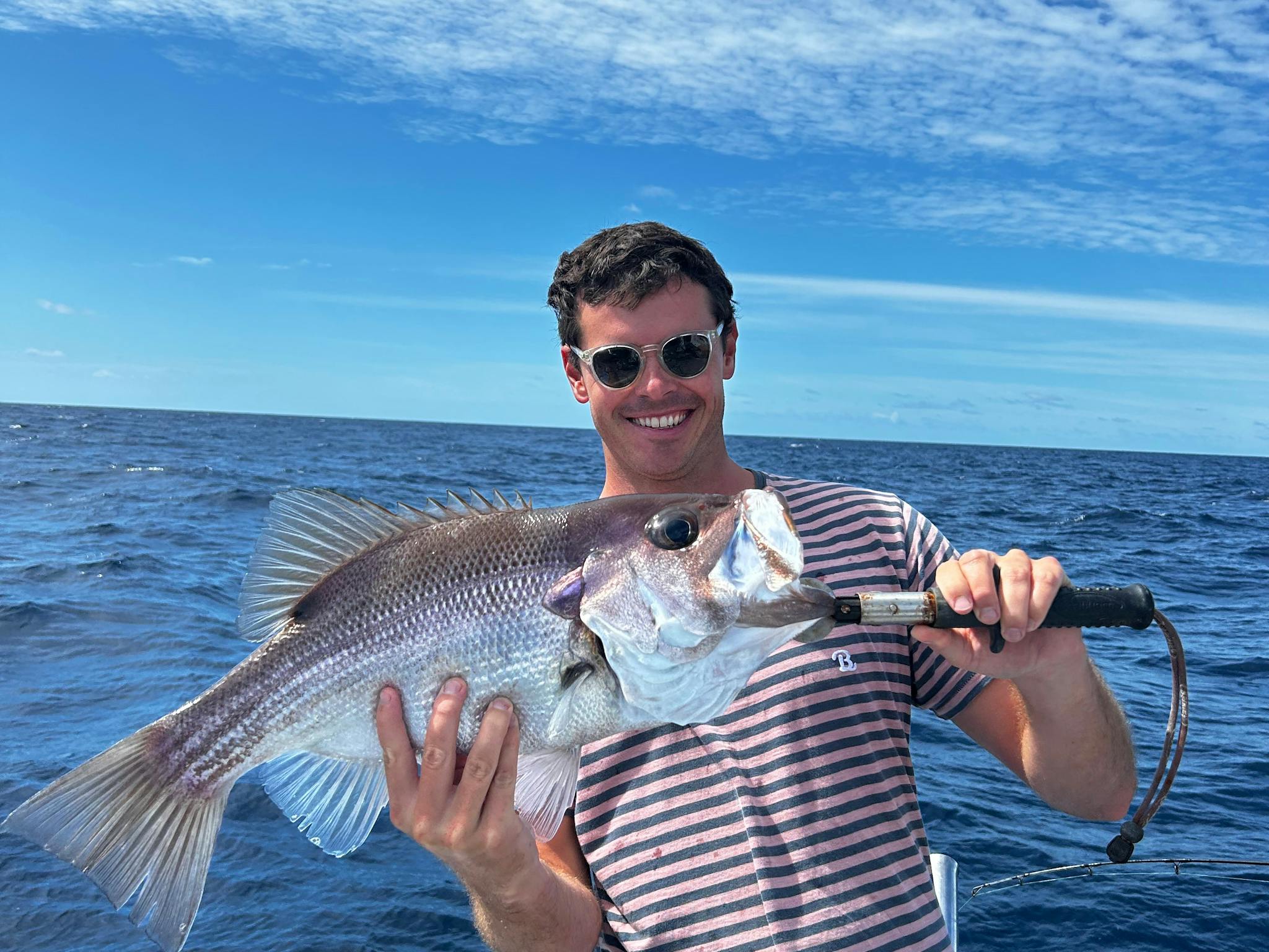 60cm pearly