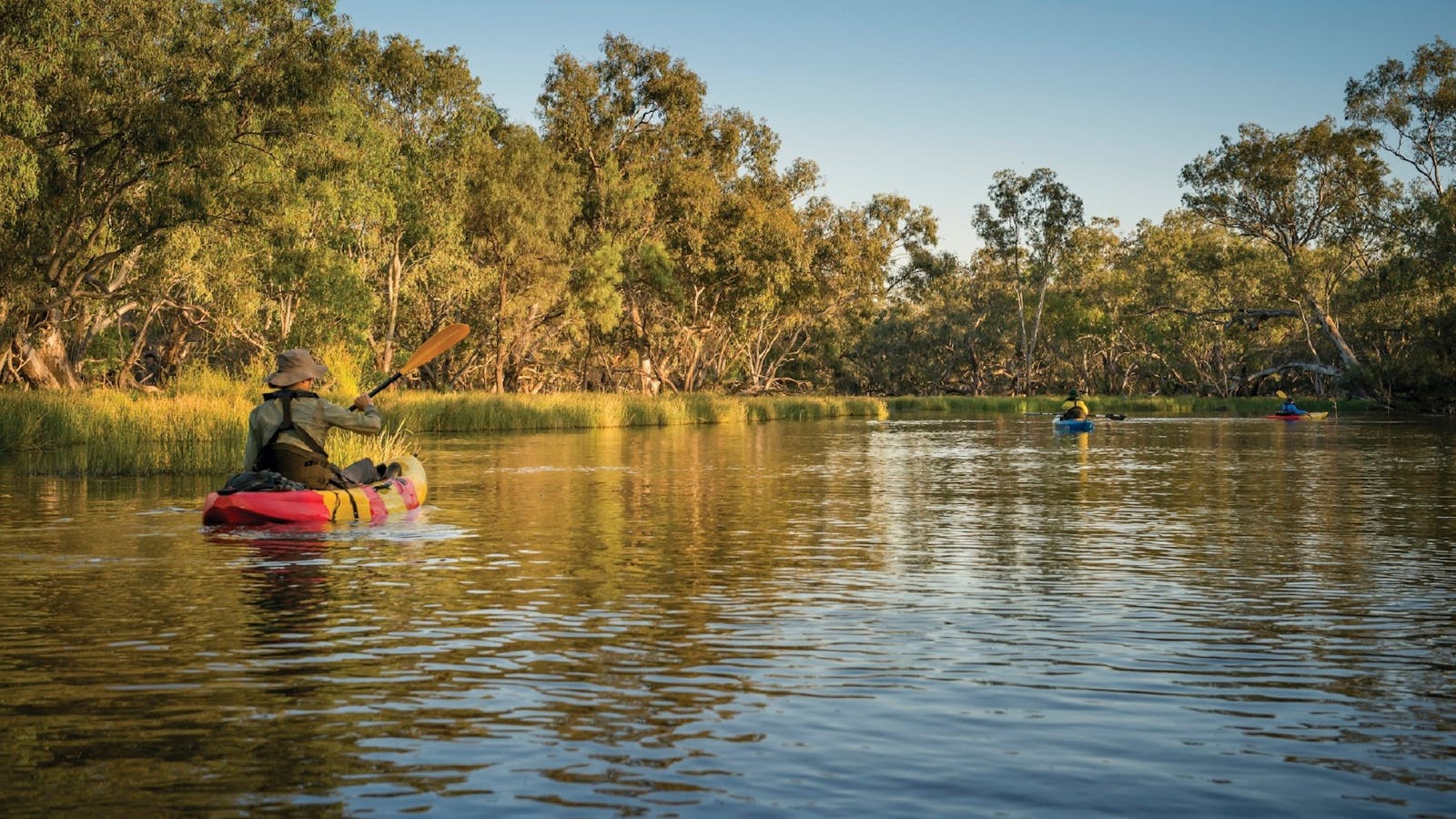 Macquarie Marshes Nature Reserve