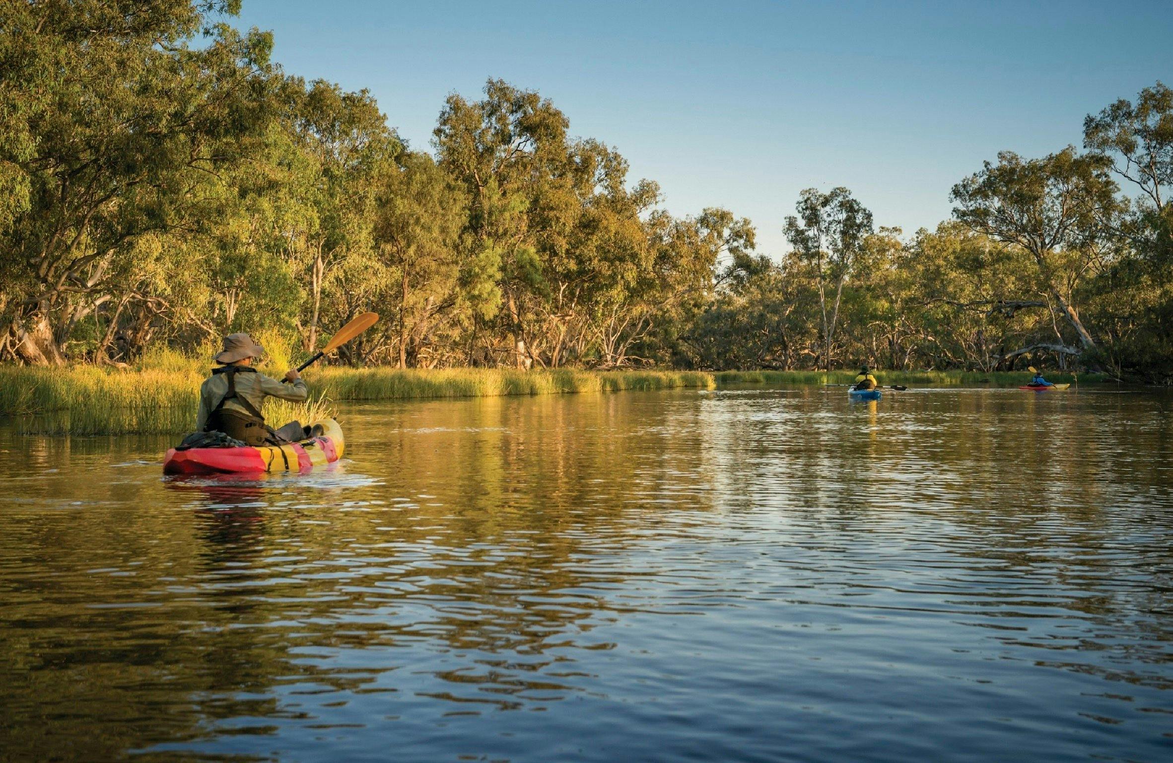 macquarie marshes tour