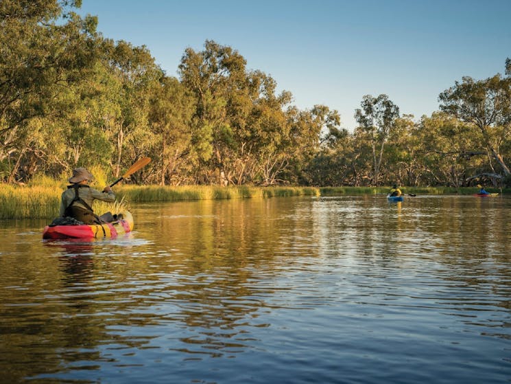 Wetland kayak tour, Macquarie Marshes National Park