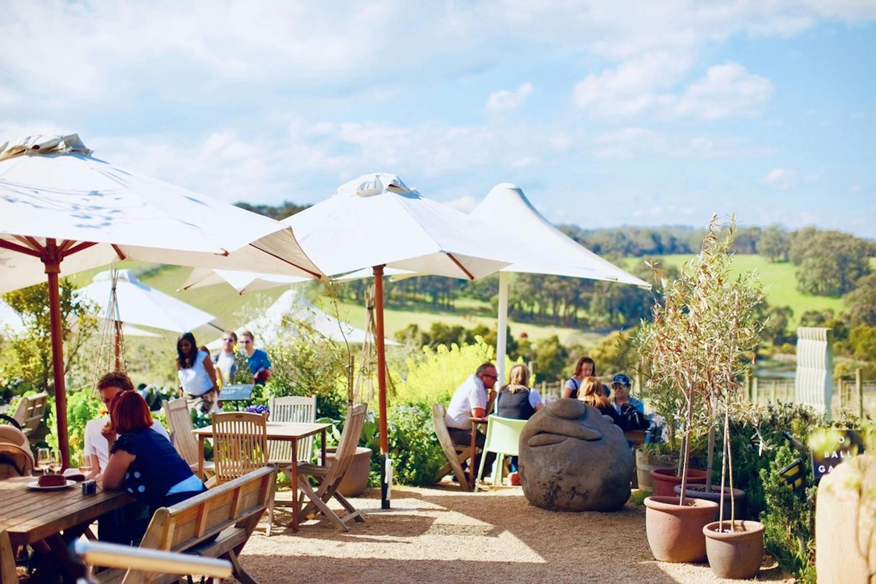 Enjoying a winery lunch on a guided cycle tour