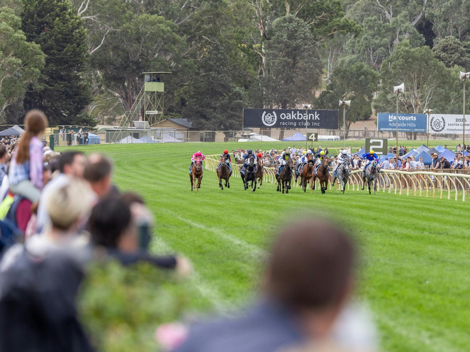 Country Racing at Oakbank Racing Club