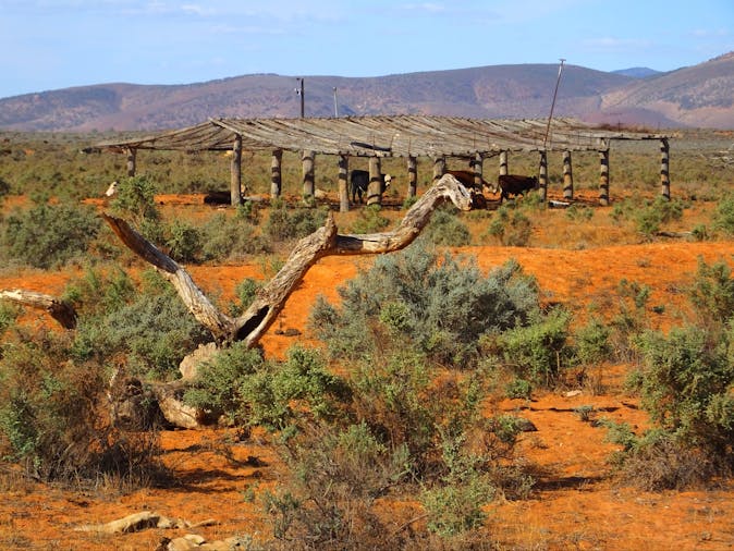 8 Day Tour Birdsville Innamincka Ultimate Outback Experience