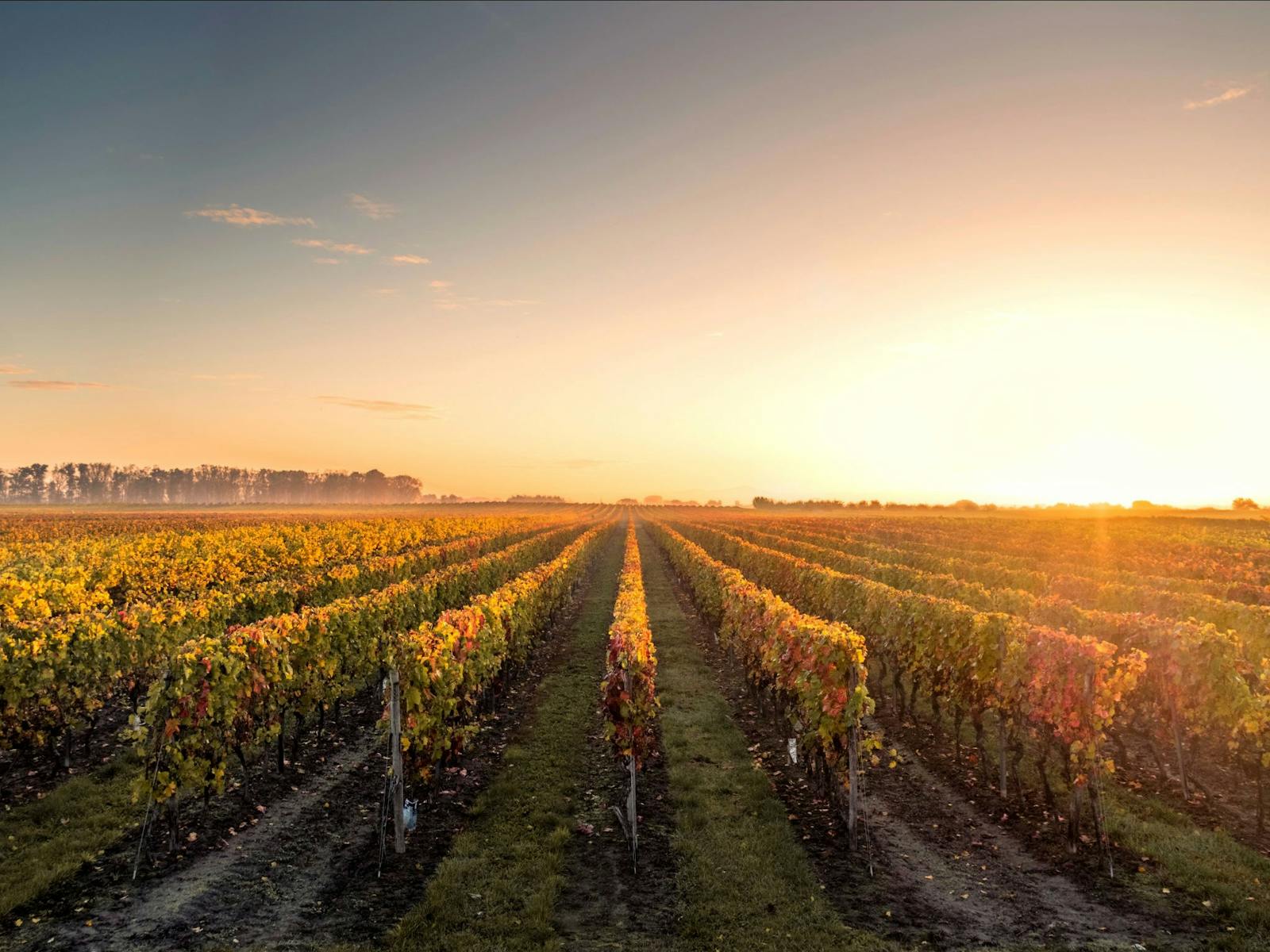 Kenny Escapes Food and Wine Tours - Wollongong