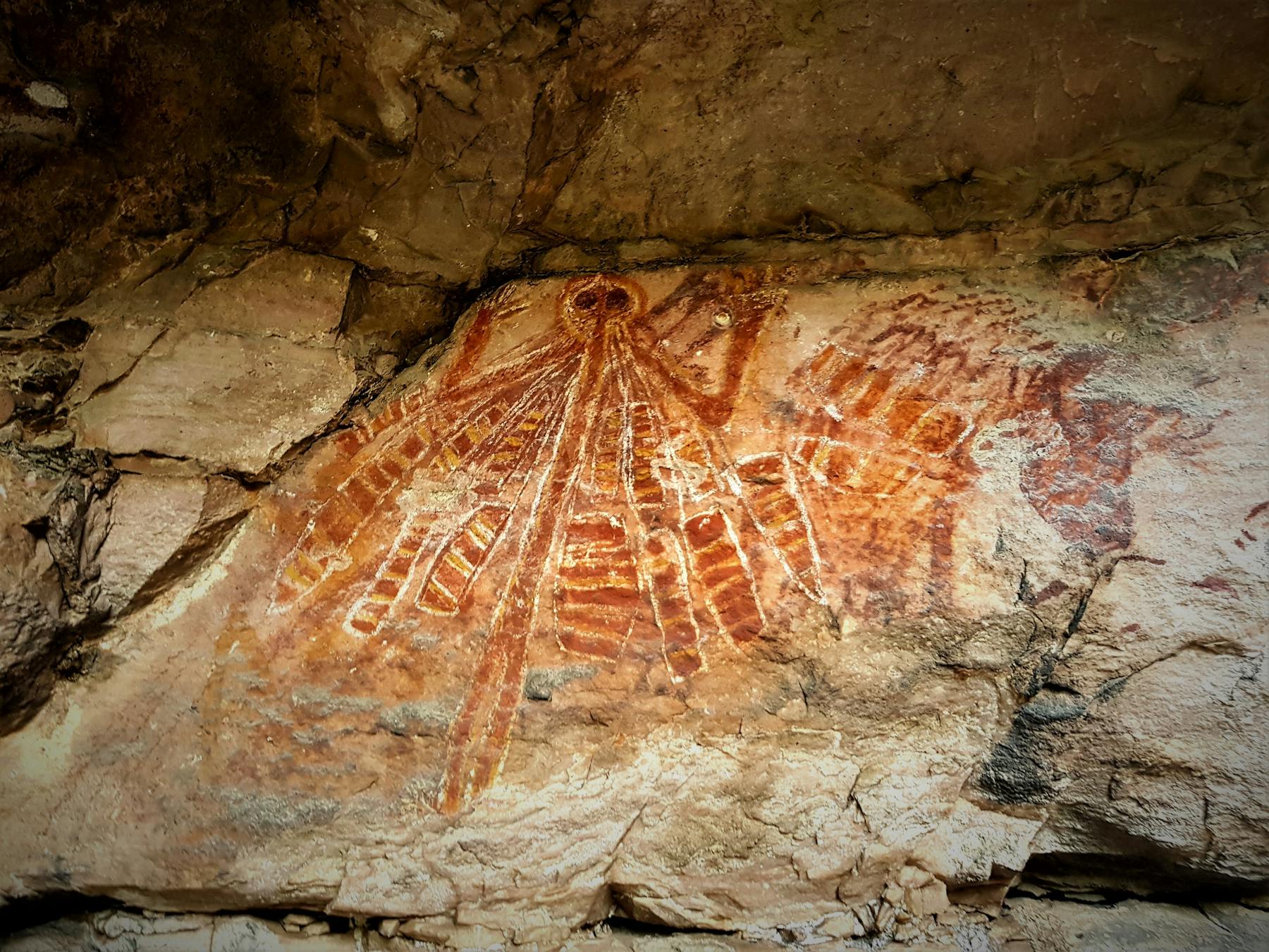 A powerful image of an ancient story - the creation mother, hear 1st hand from our aboriginal guide