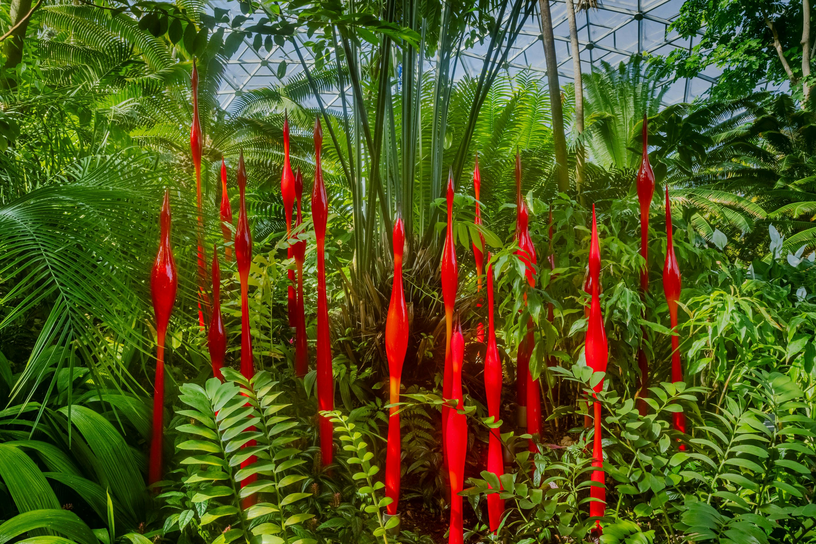 Red glass forms, long and bulbous, with sharp ends amongst a lush greenery of plants