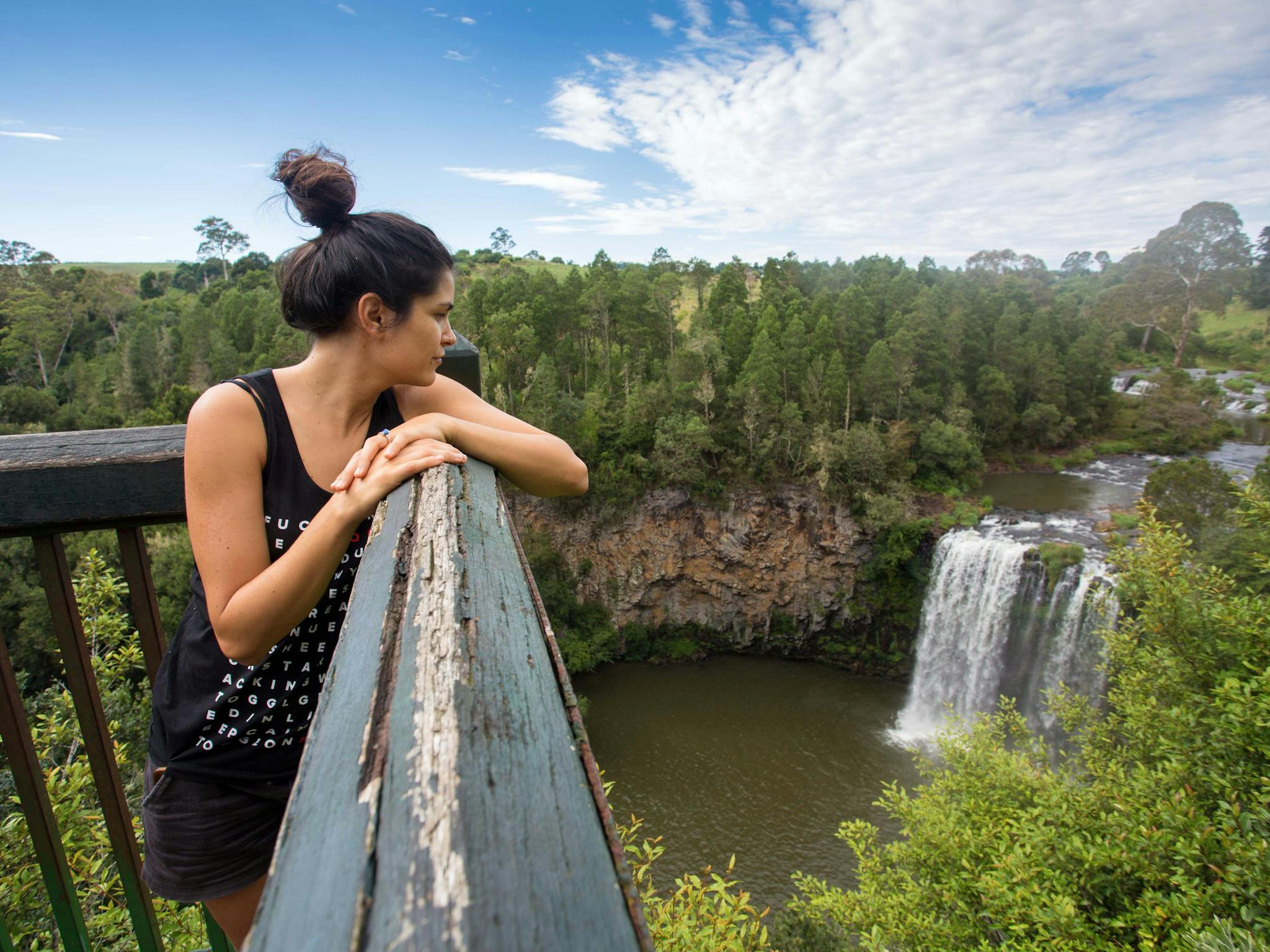 East Coast Australia Tour - Dorrigo National Park - Dangar Falls East Coast Australia Tour - Dorrigo National Park - Dangar Falls