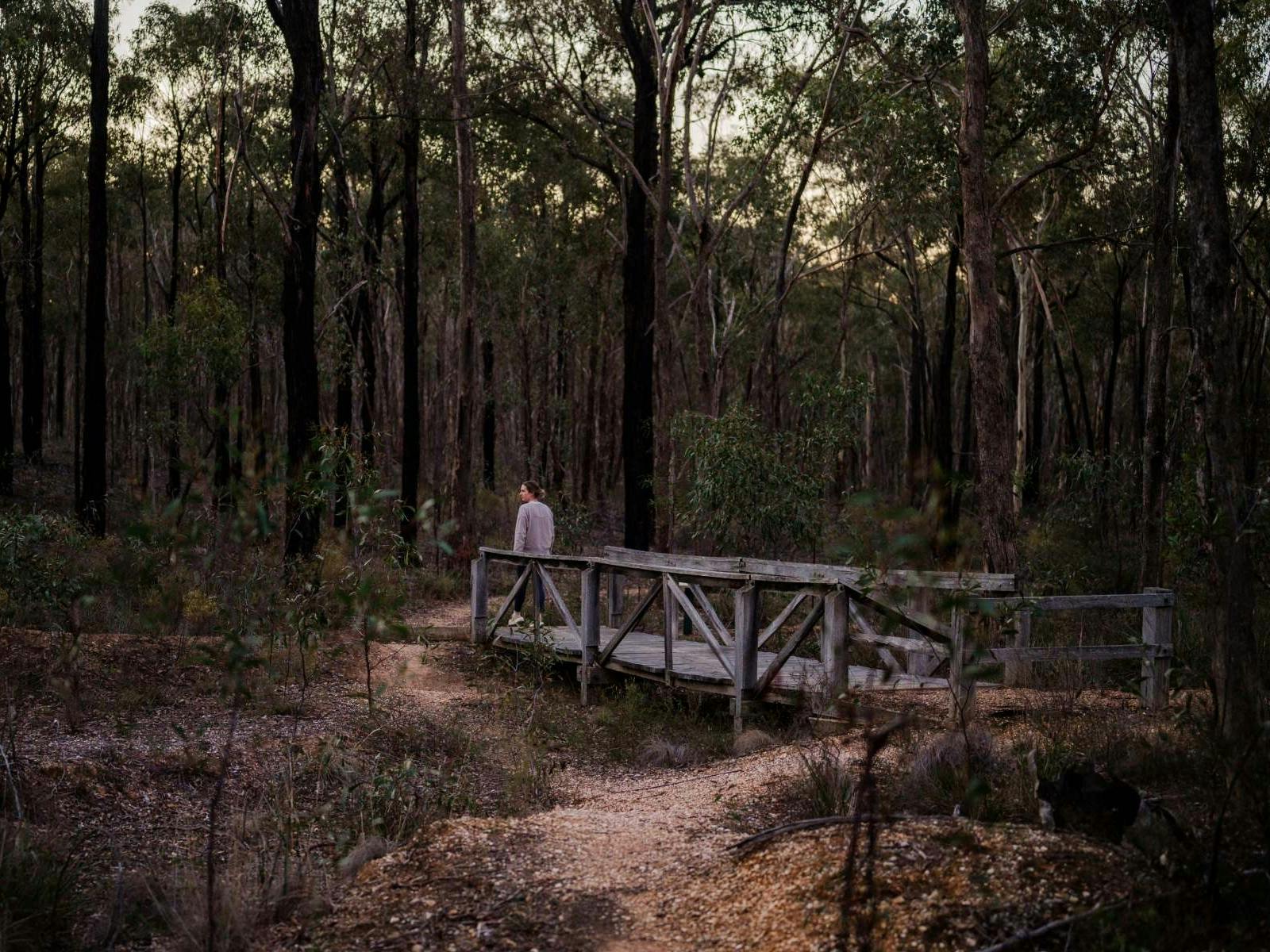 Central Goldfields Back Roads of the Central Goldfields in Maryborough - The Fold: Your ...