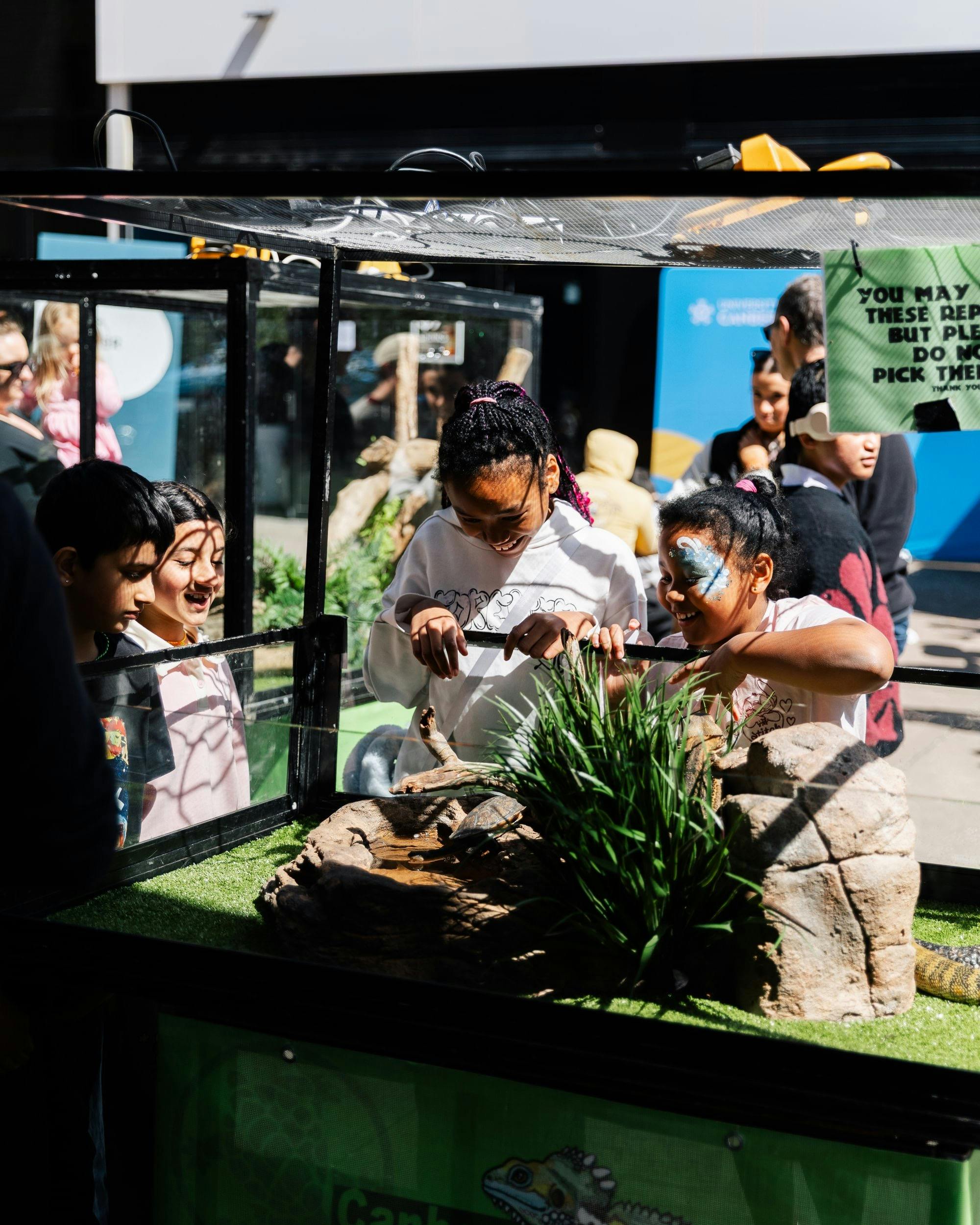 Children looking at reptiles in an enclosure at open day