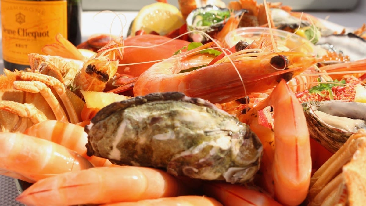 Fresh Feast