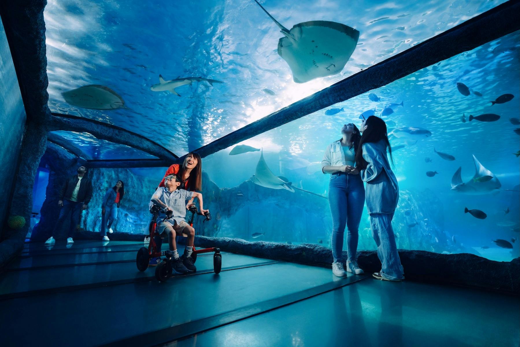 SEA LIFE Sydney Aquarium