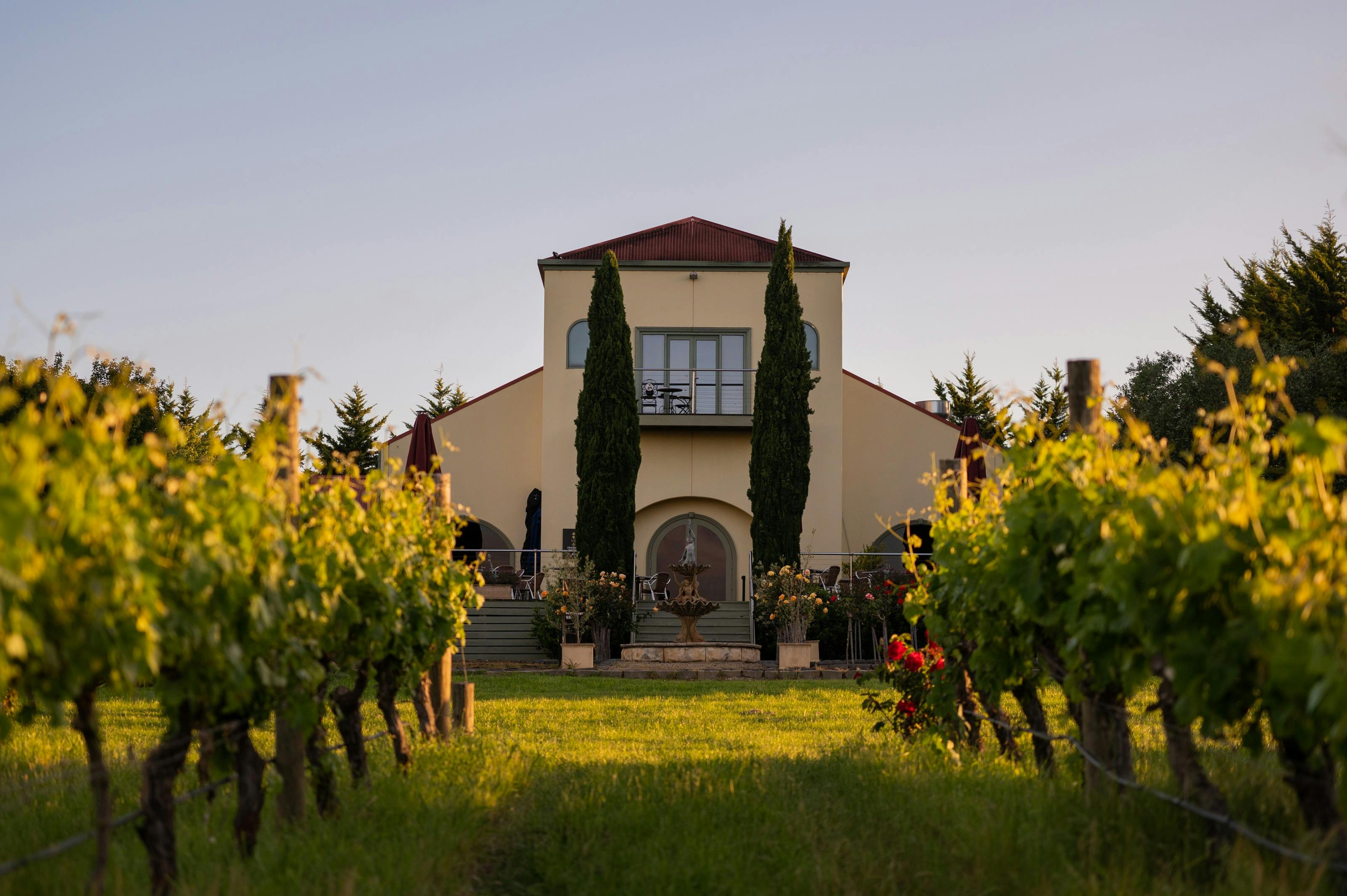 Christmas Day Lunch at Tokar Estate