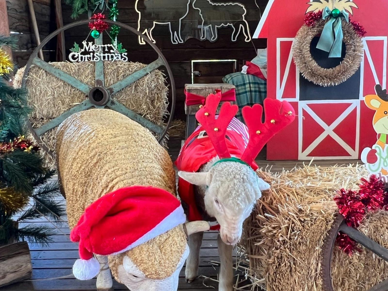 Christmas Cheer At Creswick Mill