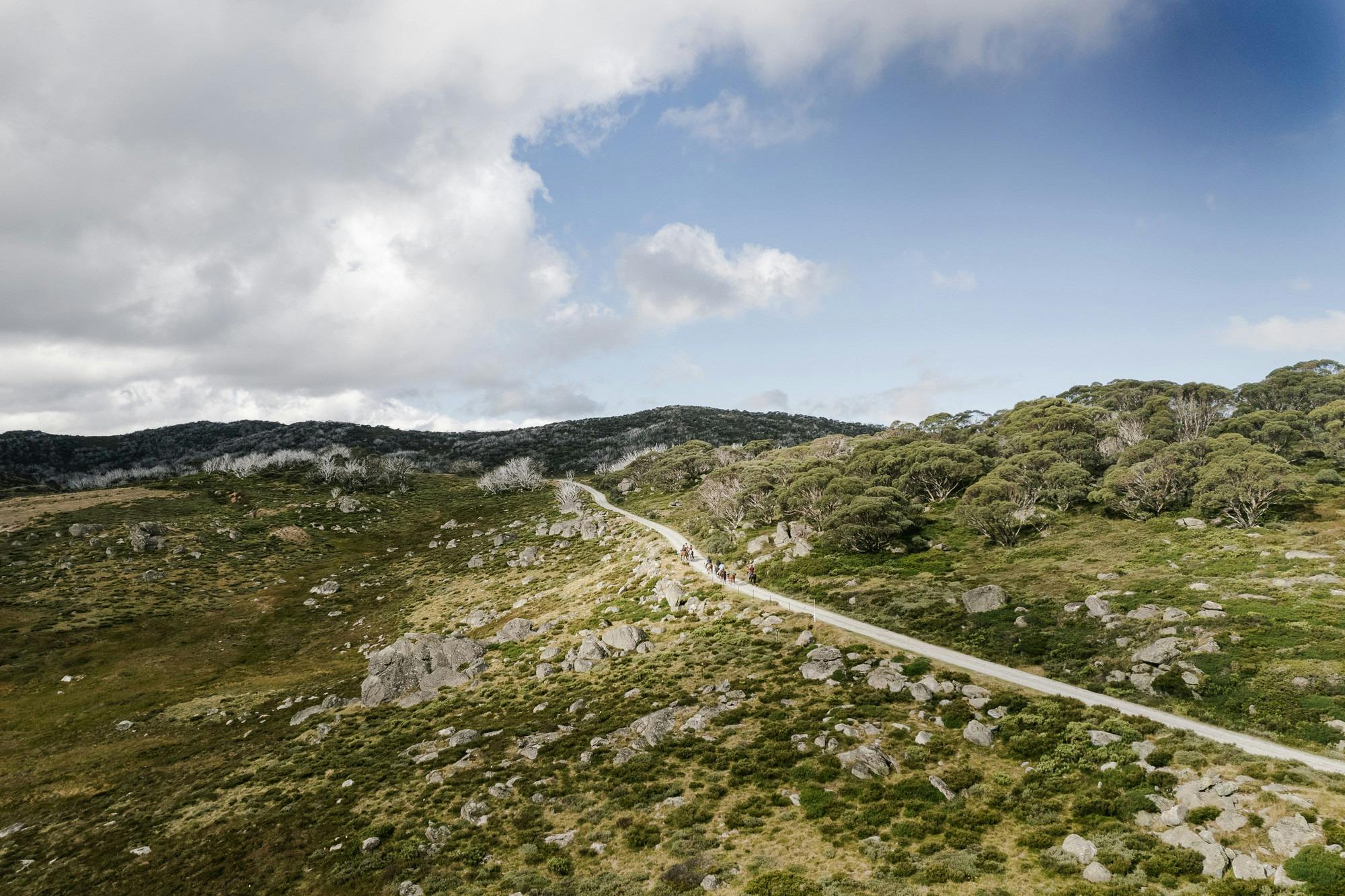 Bogong Horseback Adventures