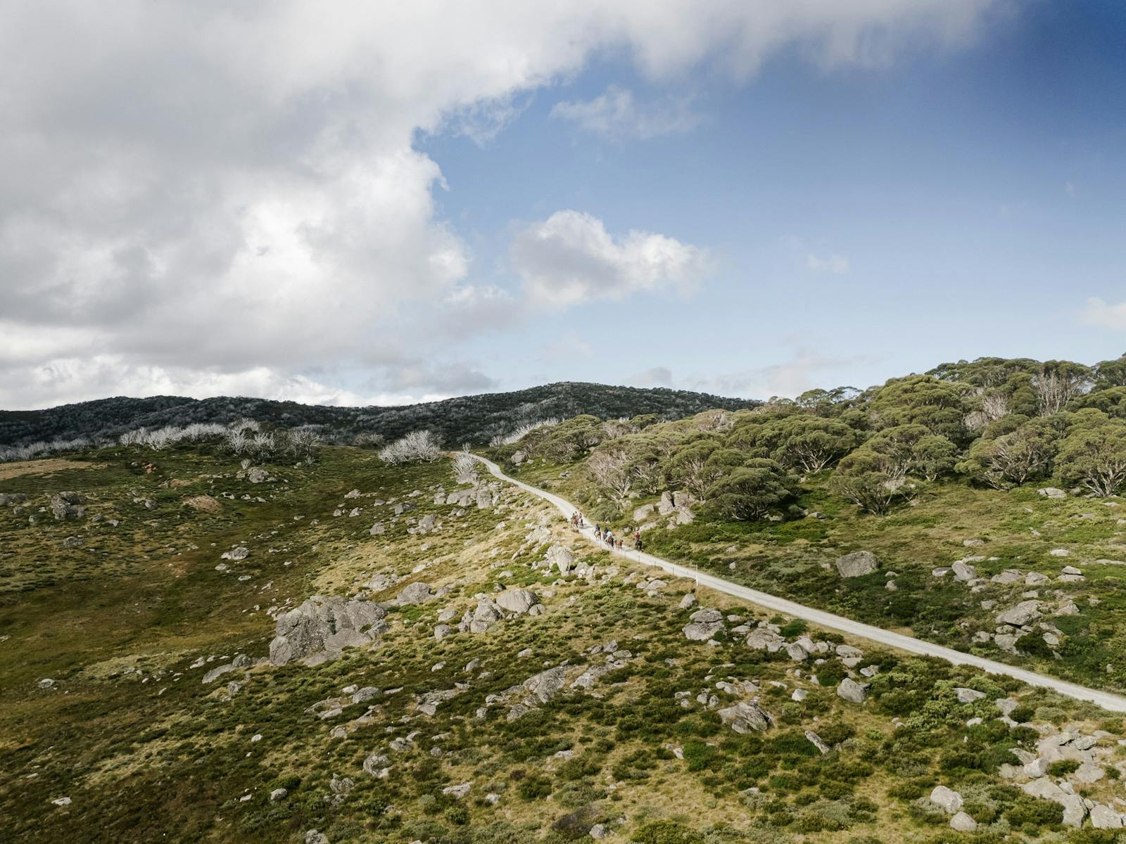 Bogong Horseback Adventures