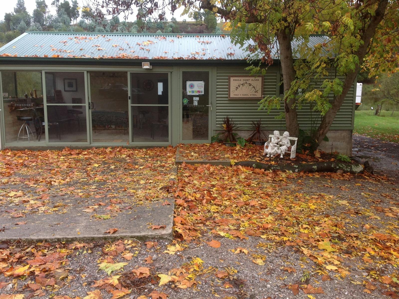 CELLAR IN AUTUMN