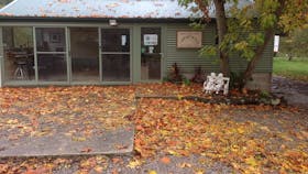CELLAR IN AUTUMN
