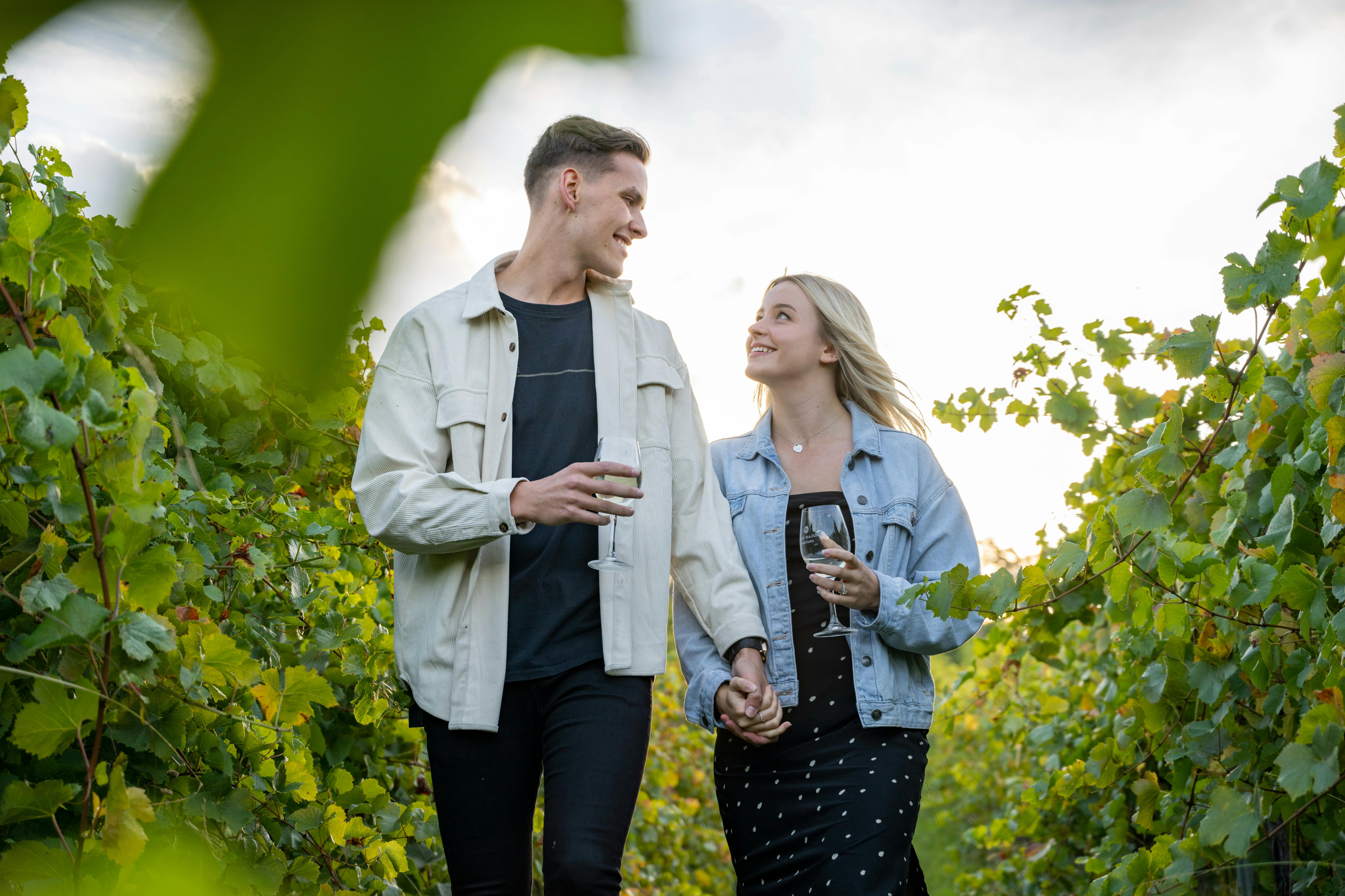 Vines walk at Mount Majura