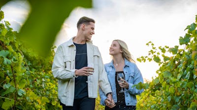 Vines walk at Mount Majura