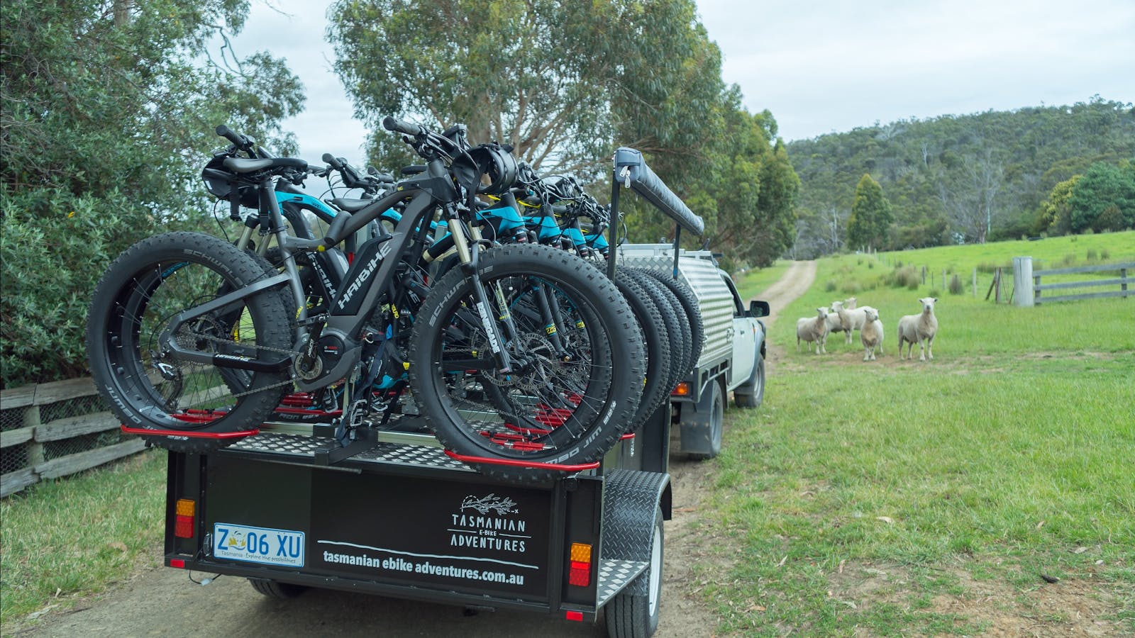 Tasmanian E-Bike Adventures