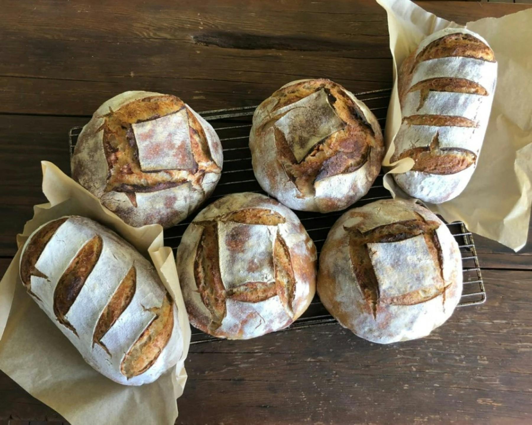 더 하베스트 카페