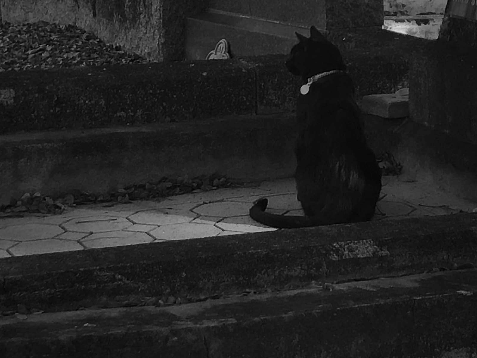 Nundah Cemetery Haunted Ghost Tour
