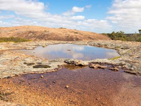 Njaki Njaki Aboriginal Cultural Tours, Merredin, Western Australia