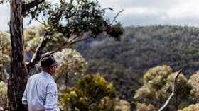 mount remarkable