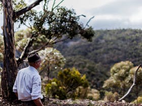 mount remarkable