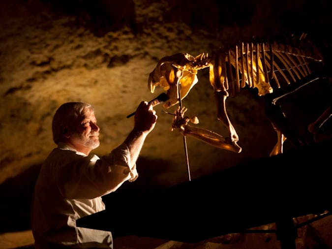 Naracoorte Caves