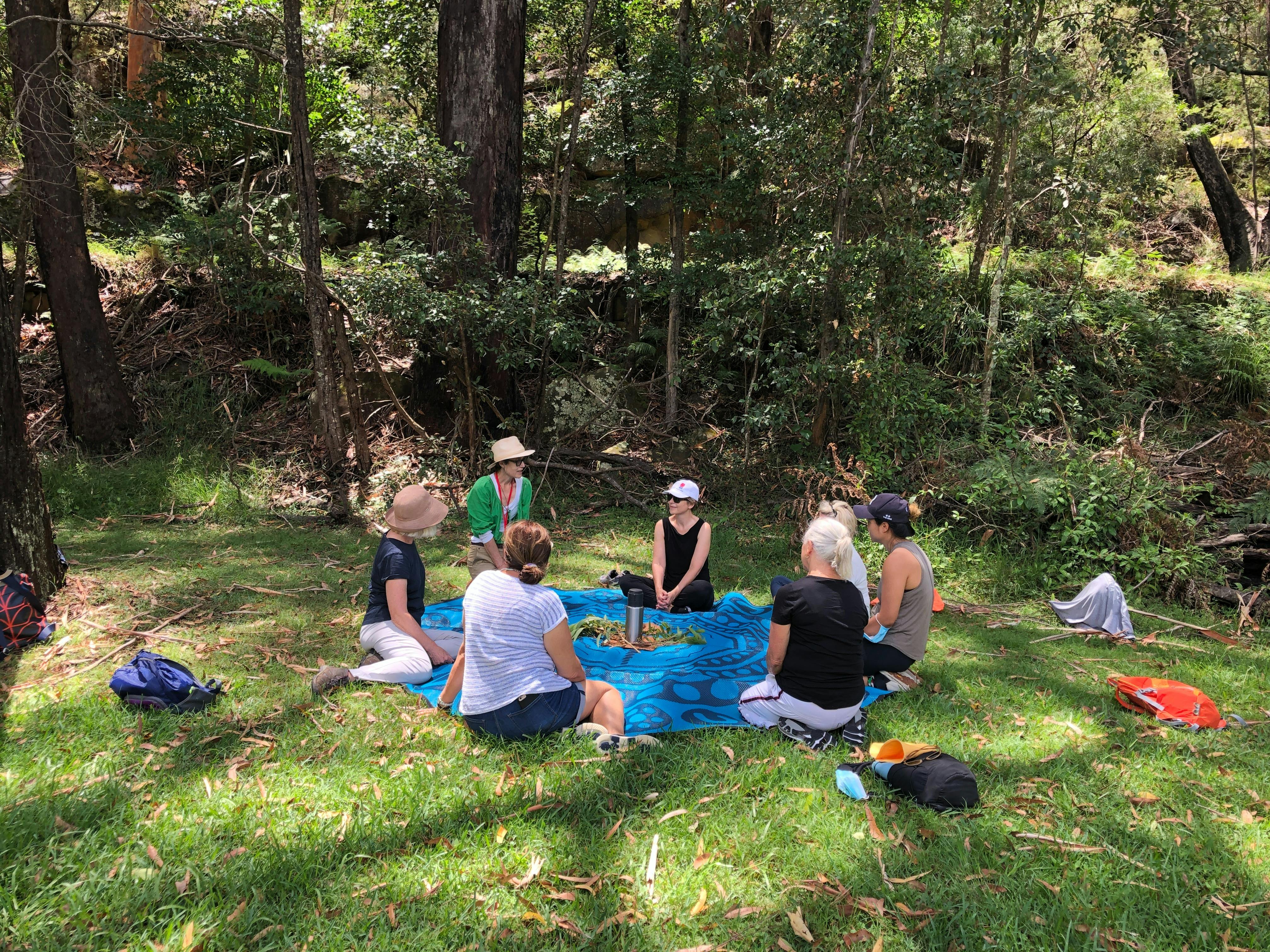Forest Bathing Refreshment time