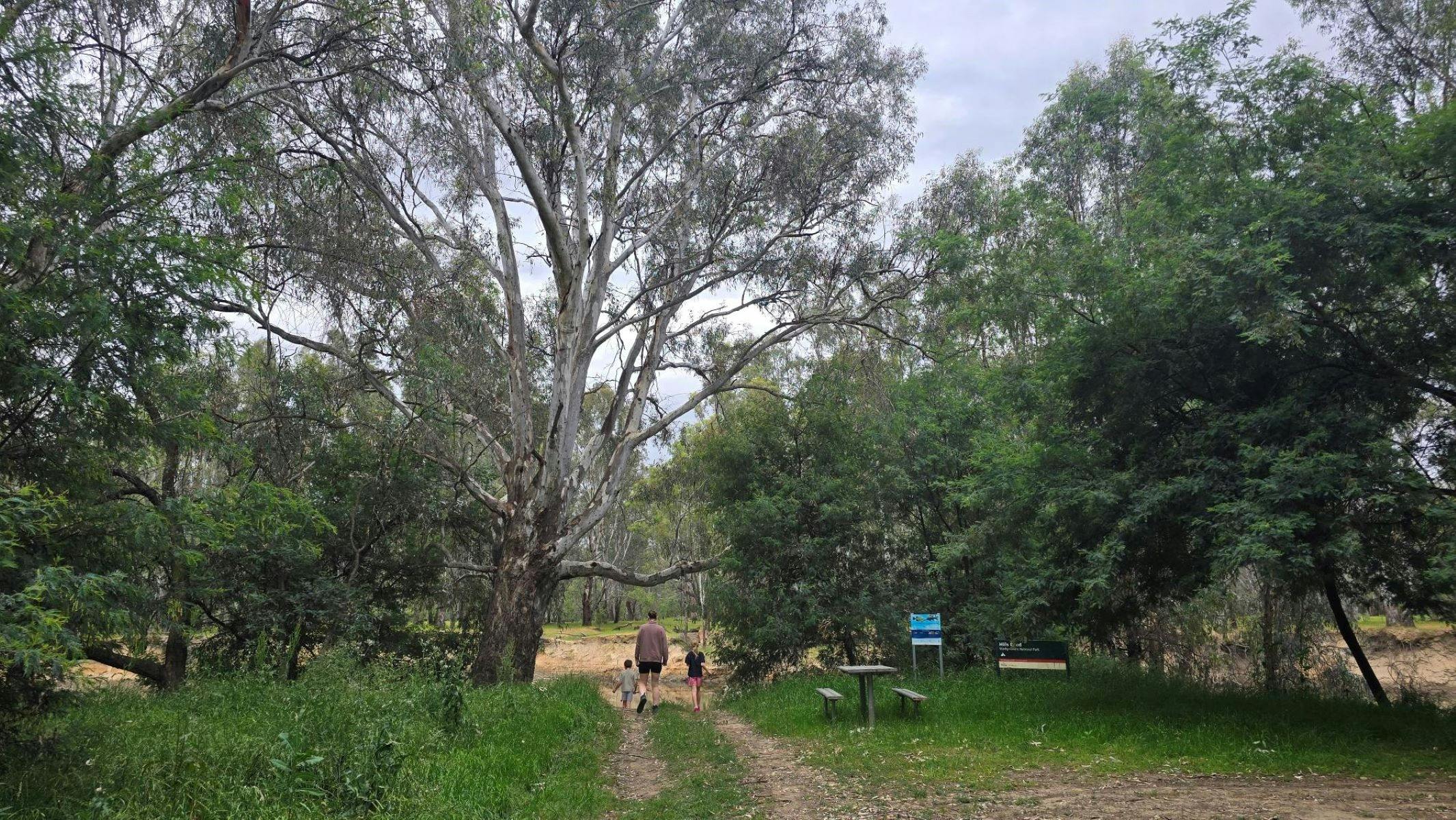 Green grassy area with a dirt track and people walking underneath gum trees next to a picnic table.