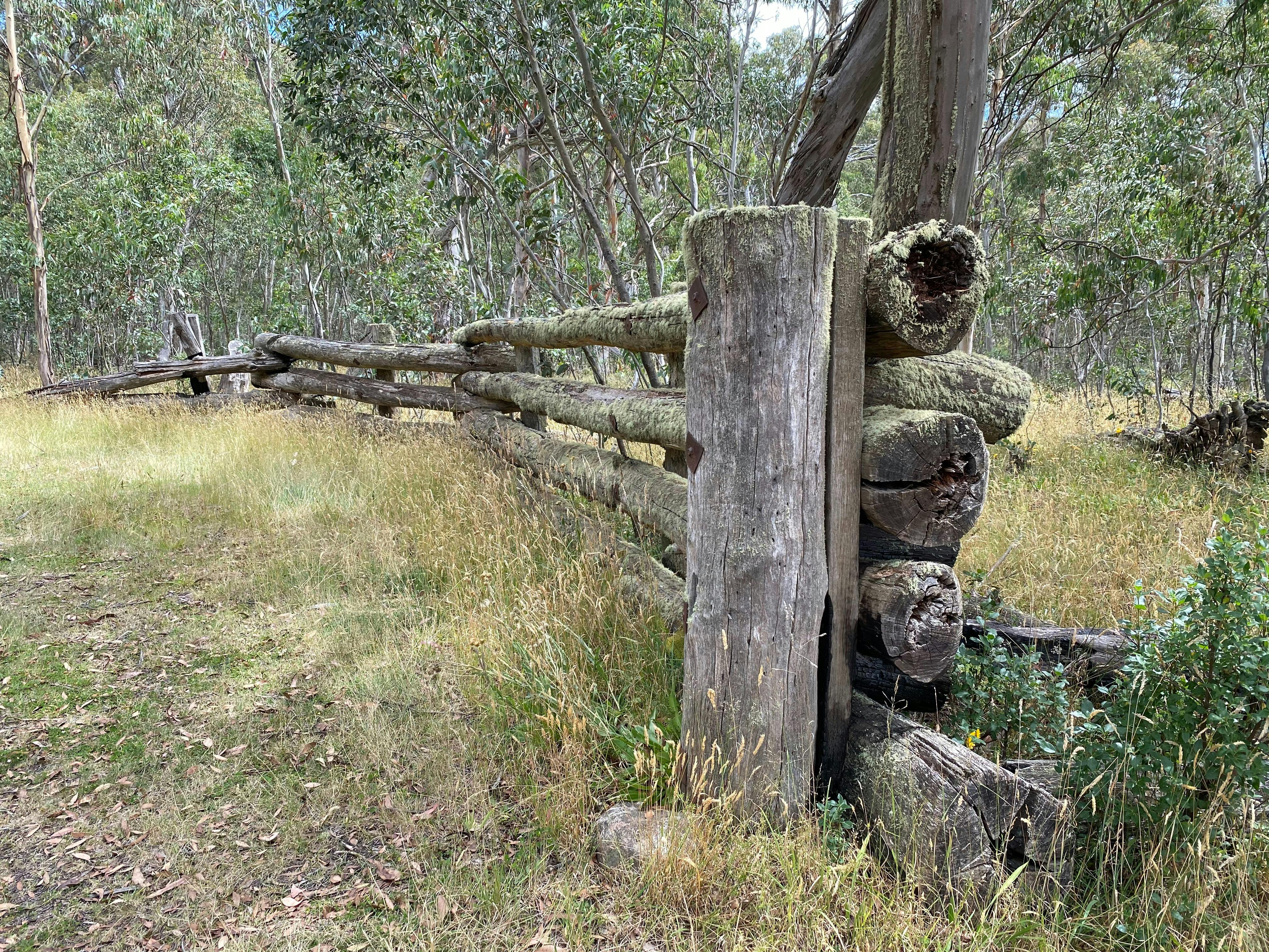 Dingo Trax in Tamboritha, Victoria High Country. Old stockyards.
