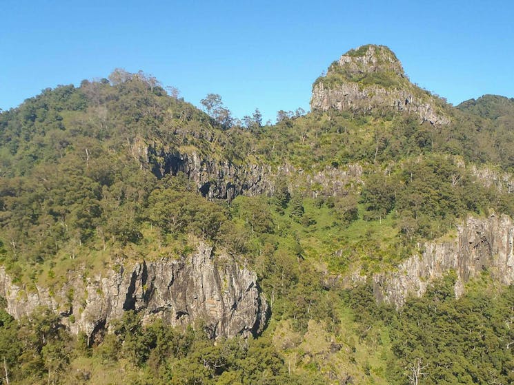 Goorgana walking track, Nightcap National Park. Photo: Kerrie Metzler