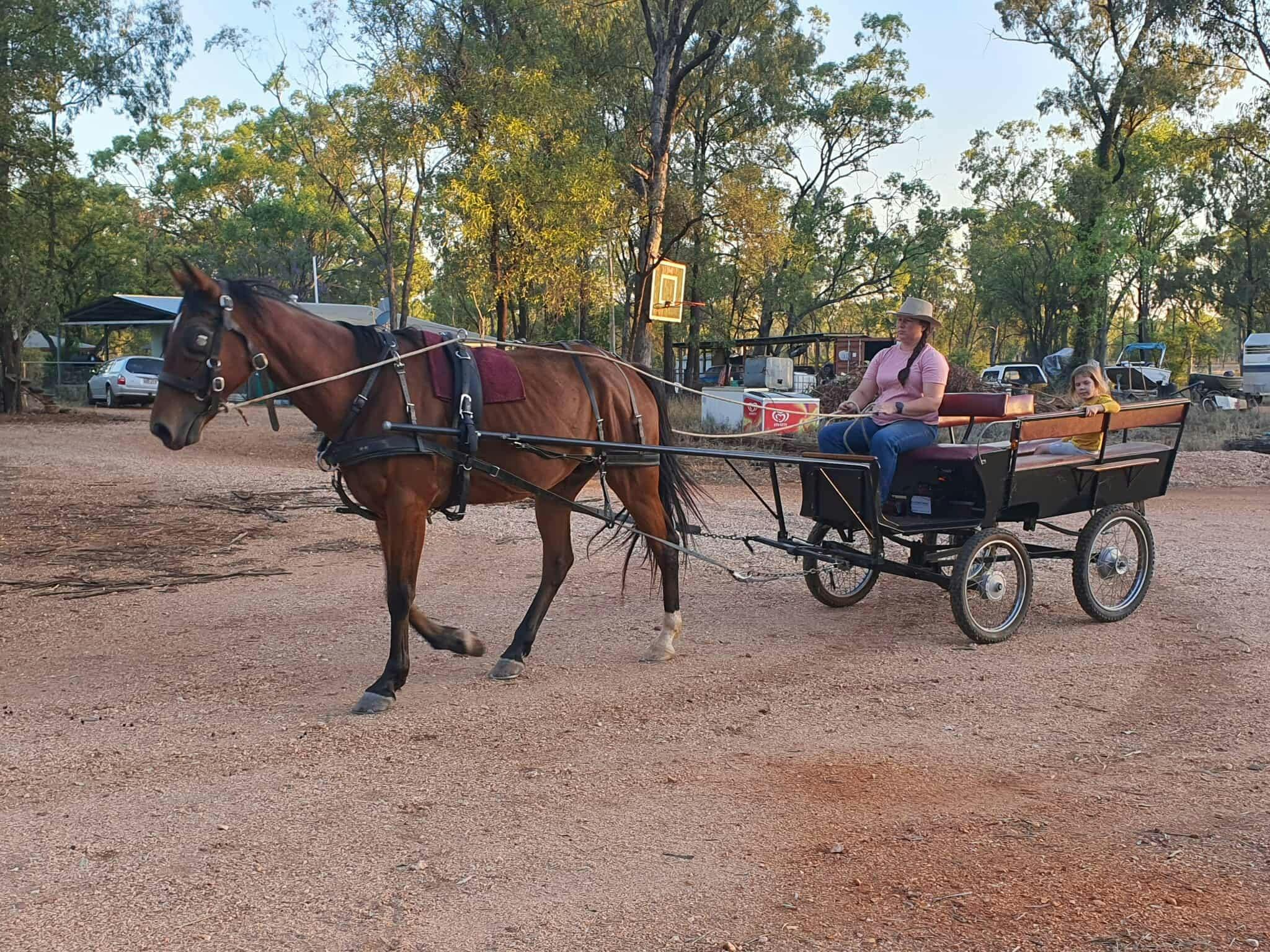 Colin in the small wagon