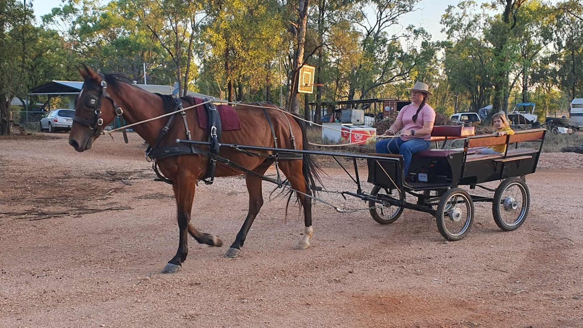 Colin in the small wagon