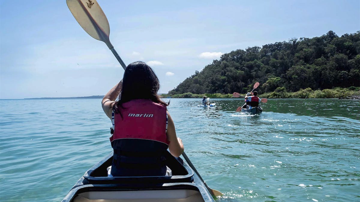 Kingfisher Bay Resort Ranger-guided Activities