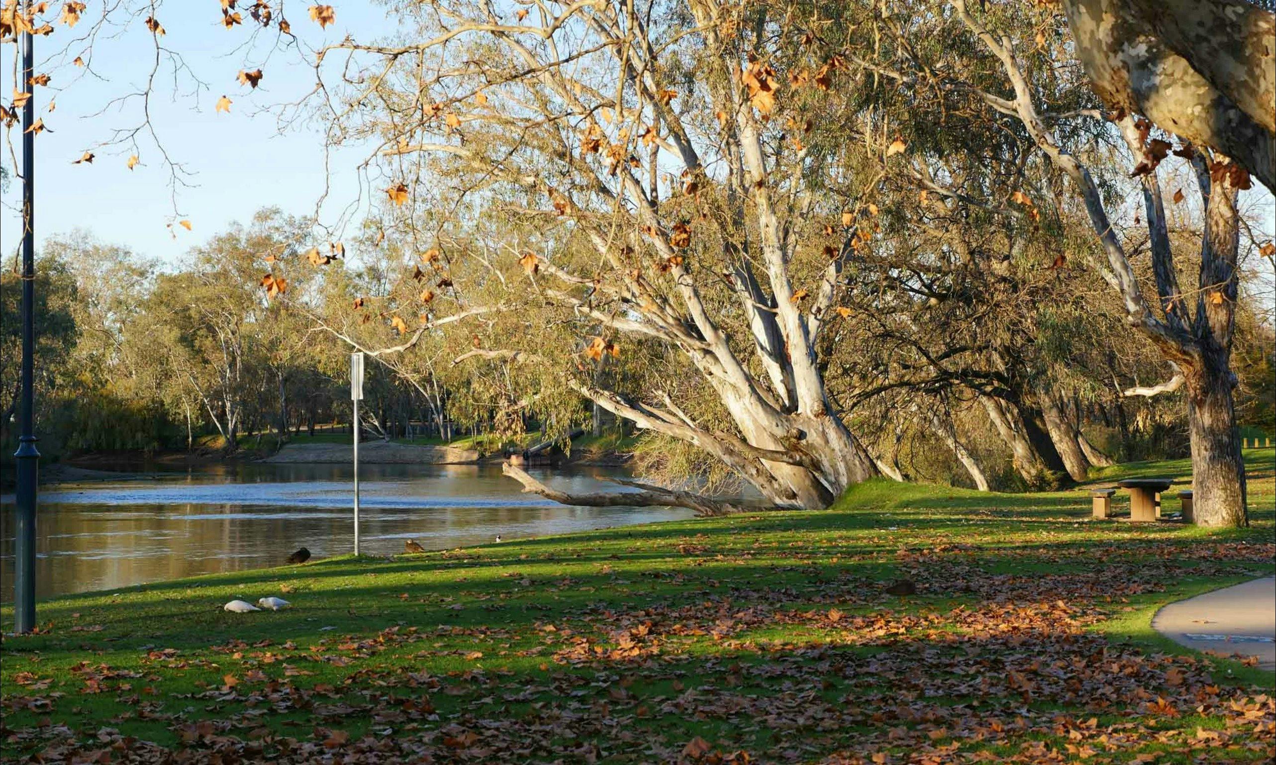 Albury | NSW Holidays & Accommodation, Things to Do, Attractions and Events