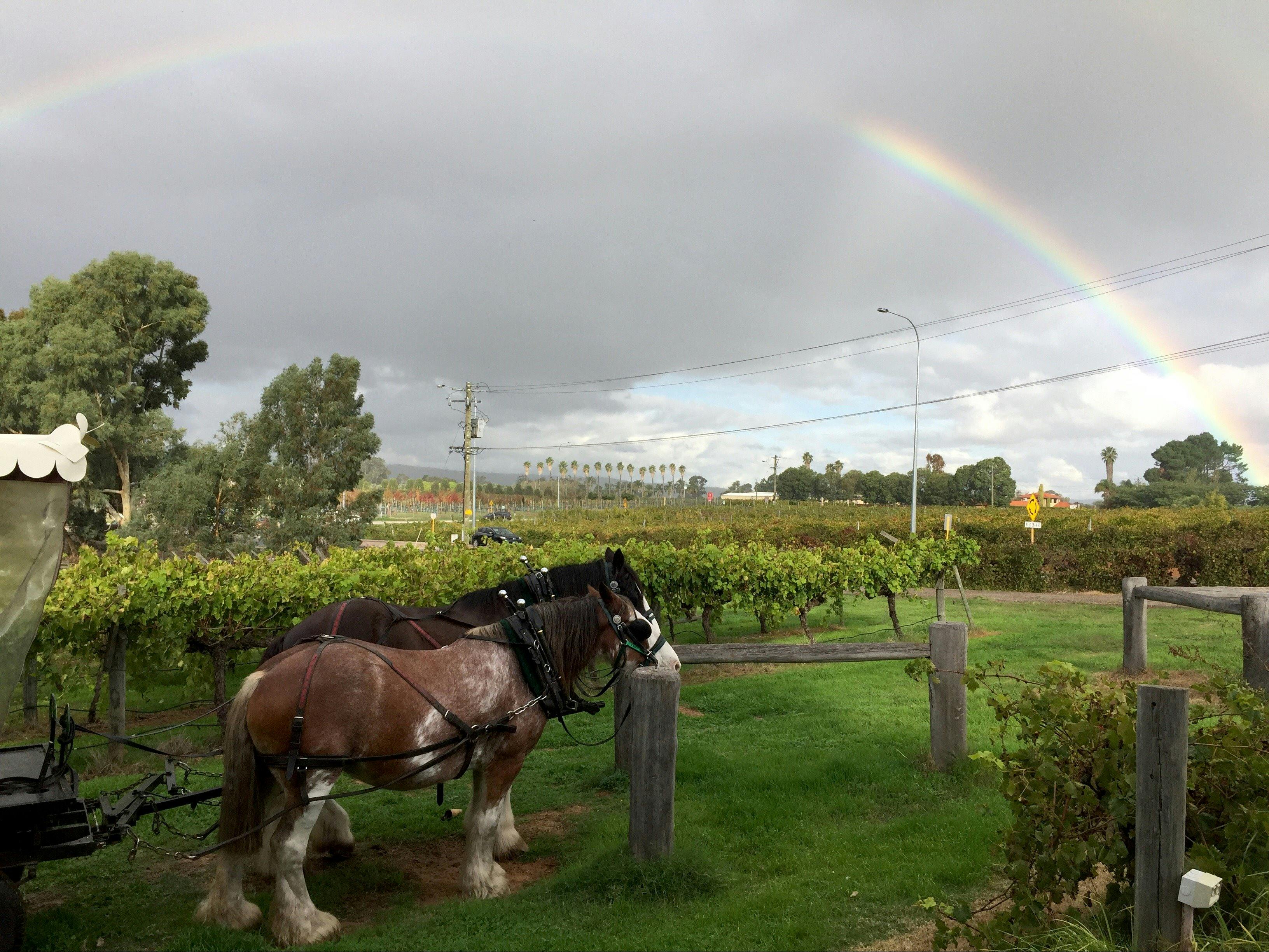 Swan Valley Wagon Tours, West Swan, Western Australia