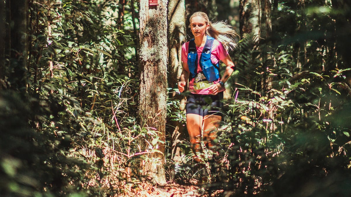 Rainforest trail