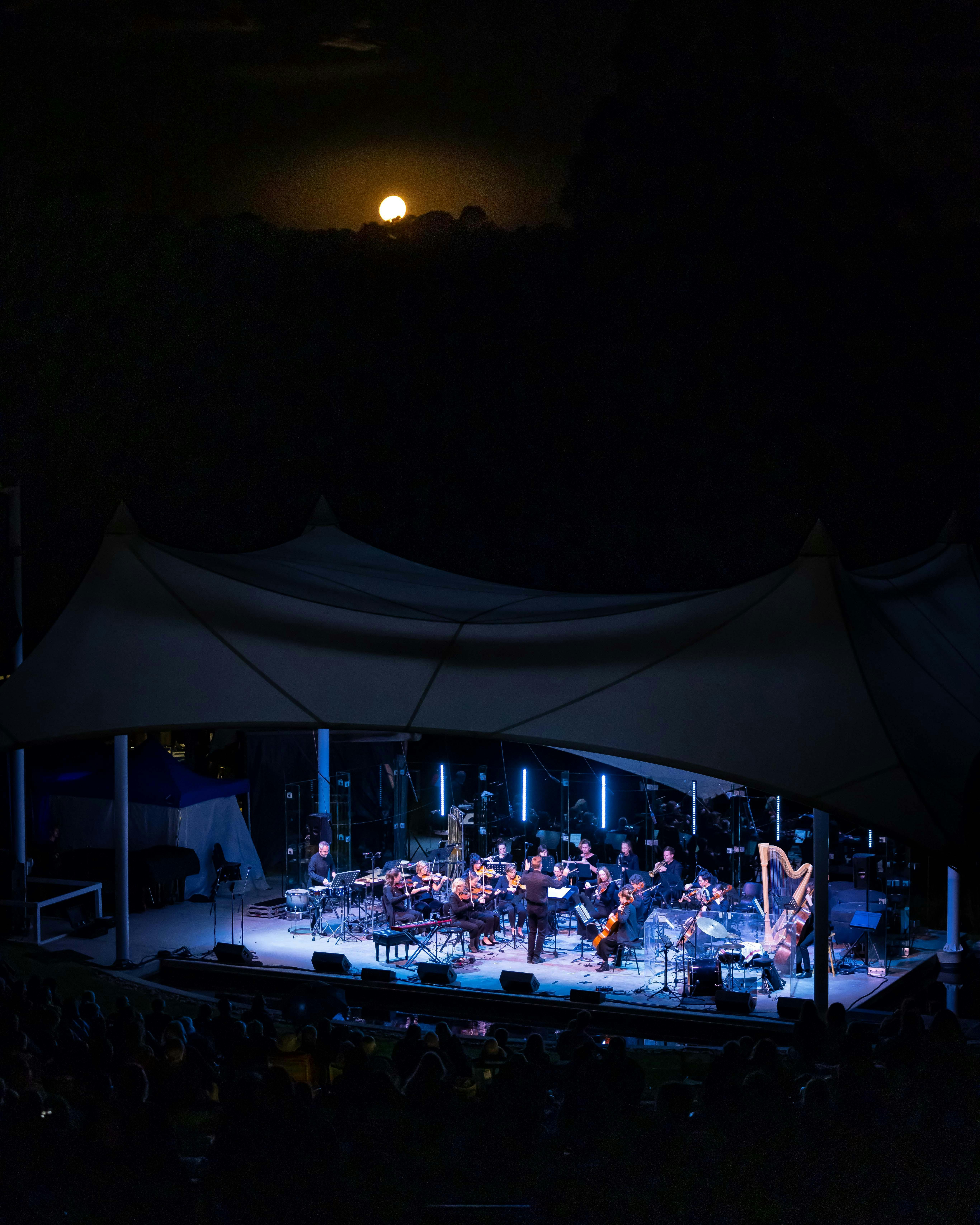 夜間四風聲貝殼