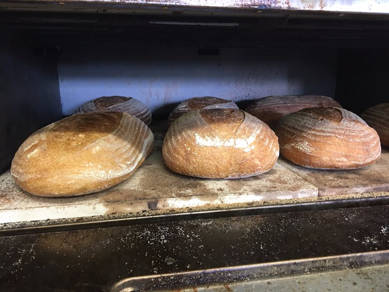 Image of the event 'Baking - Artisan Sourdough Basics'