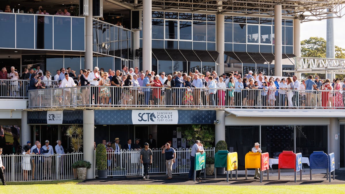 Large crowd of member on the members terrace watching the races