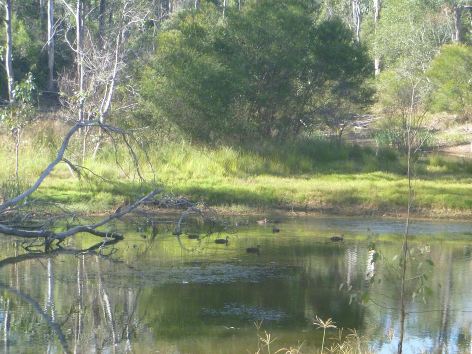 Nanango Fauna Reserve
