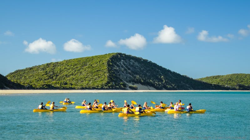 Private Double Island Point Wildlife Adventure - Rainbow Beach  Half Day