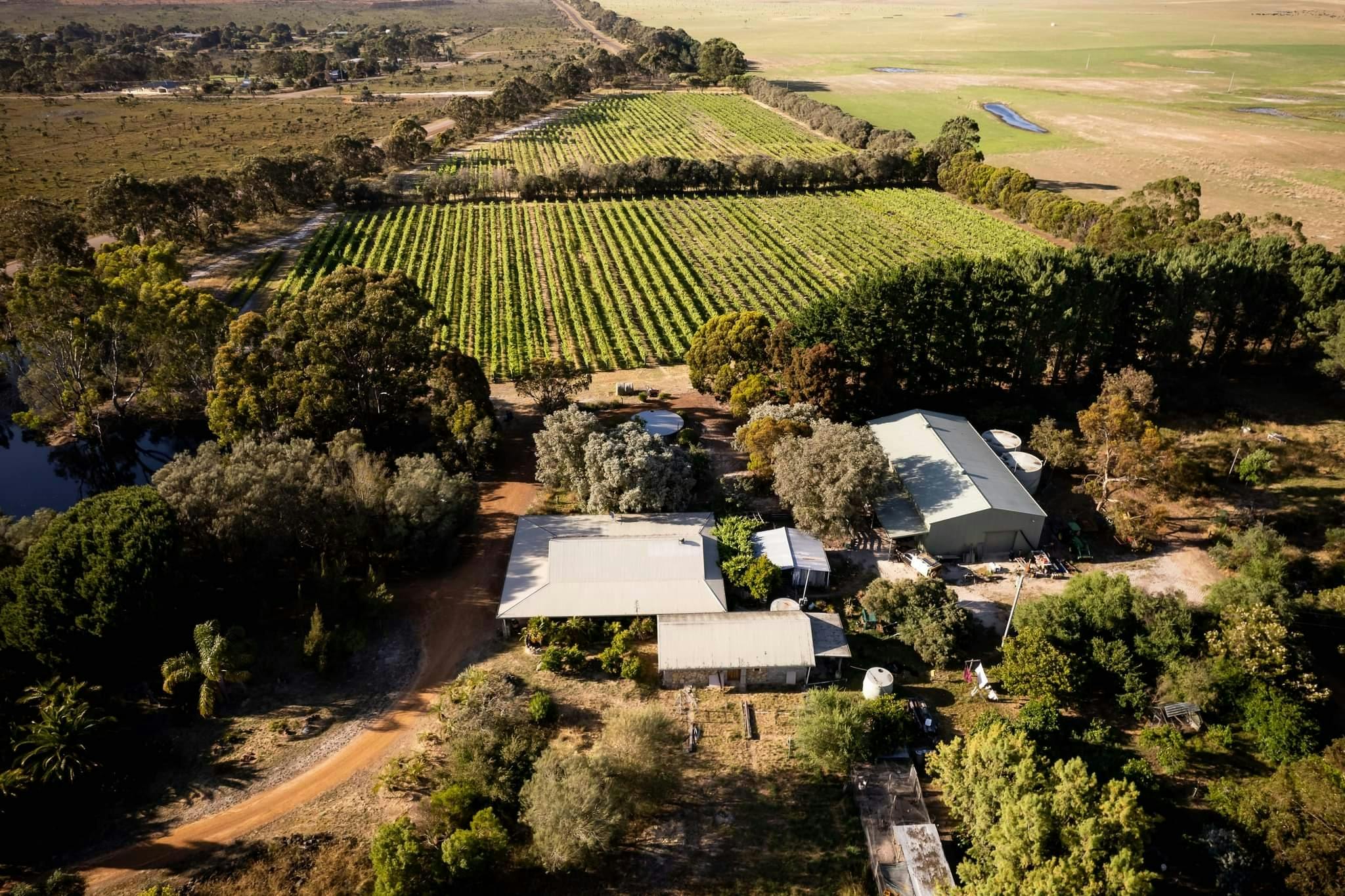 Aerial winery and vineyard