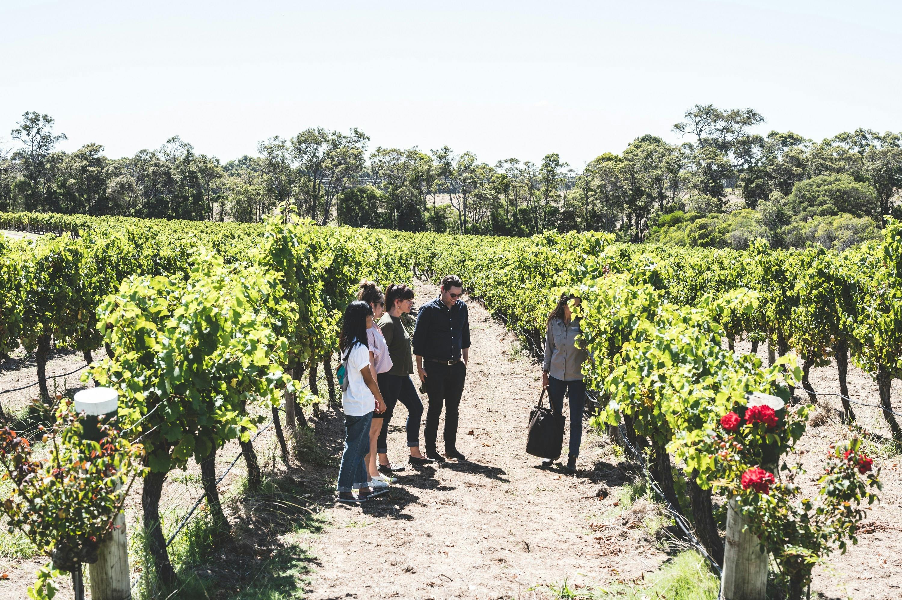 Voyager Estate, Margaret River, Western Australia