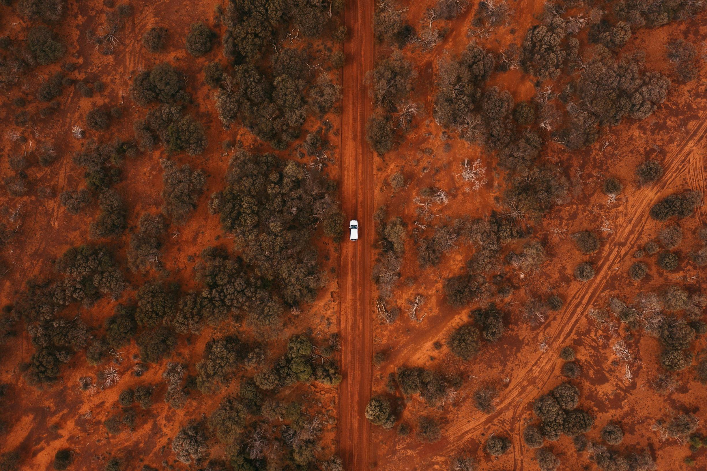 Leonora image